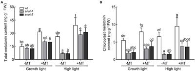 Melatonin Enhanced the Tolerance of Arabidopsis thaliana to High Light Through Improving Anti-oxidative System and Photosynthesis